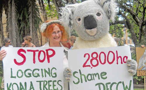 Friends of the Koala president Lorraine Vass and friend. Friends of the Koala president Lorraine Vass and friend.